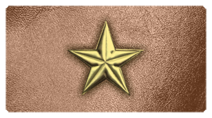 DSC700 430 GD BZ Star Gold Bronze